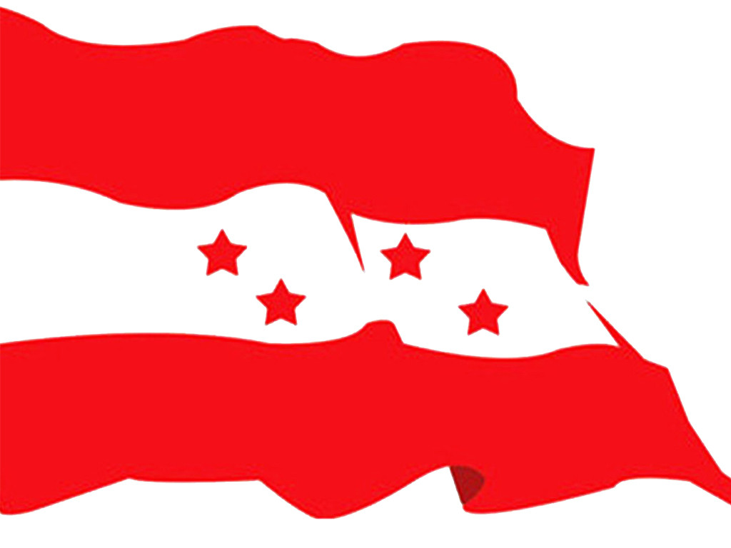 Nepali-Congress_congress_jhanda.jpg