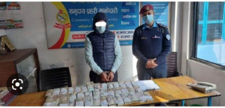 गजुरी नगरपालिकामा  ४ केजी  गाँजासहित २ जना पक्राउ