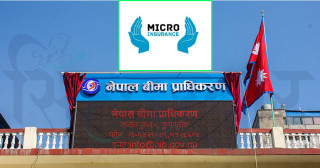 कुन कुनले पाउला  दुई लघु बीमा कम्पनीको लाइसेन्स