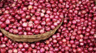 दुई दिनपछि भारतीय प्याजको मूल्य तोक्यो