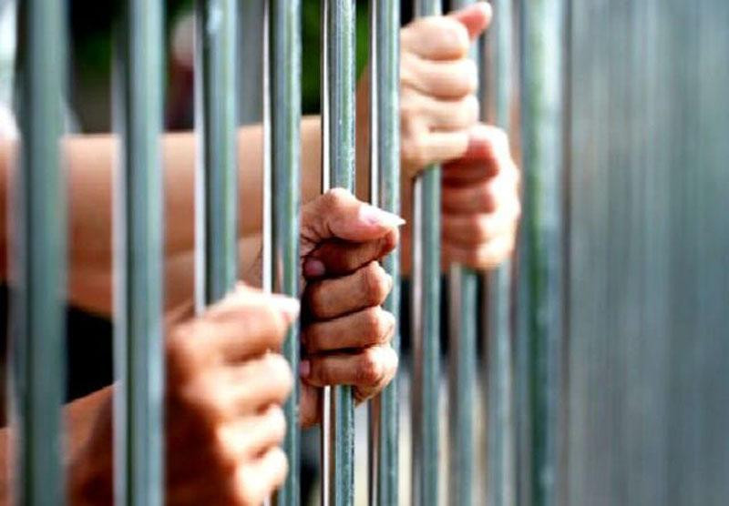 हिल कटेज सञ्चालक पन्तको  हत्याको आरोपी किसान परियार र उनका आफनै भिनाजु निलबहादुर परियार कारागार चलान