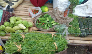 फागुन २६ गतेबाट गोरखाको रानीपोखरीमा हाट बजार संचालन हुने