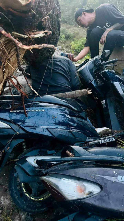पाल्पामा हावाहुरीले रुख पल्टाउँदा स्कुटरमा सवार एकको मृत्यु , एक जना सामान्य घाइते