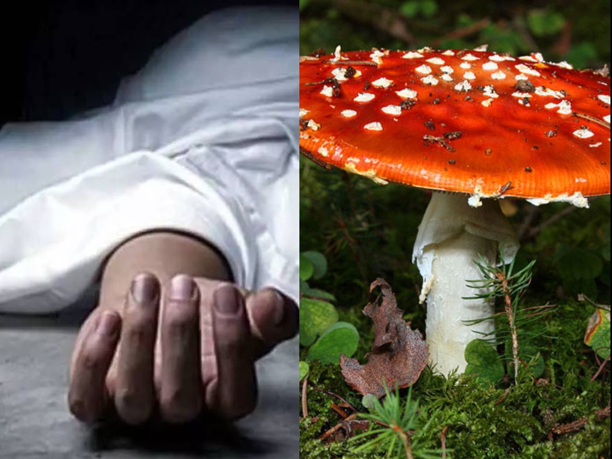  एक घरमा जंगली च्याउको तरकारी खाँदा एक जनाको  मृत्यु ४ जनाको अवस्था गम्भीर