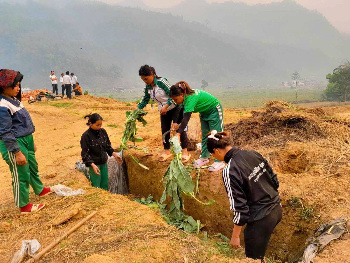 barpak5.jpg