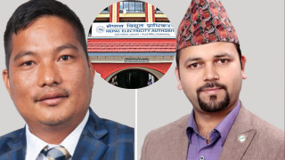  विद्युत् प्राधिकरणका  दुई सदस्य पदमुक्त
