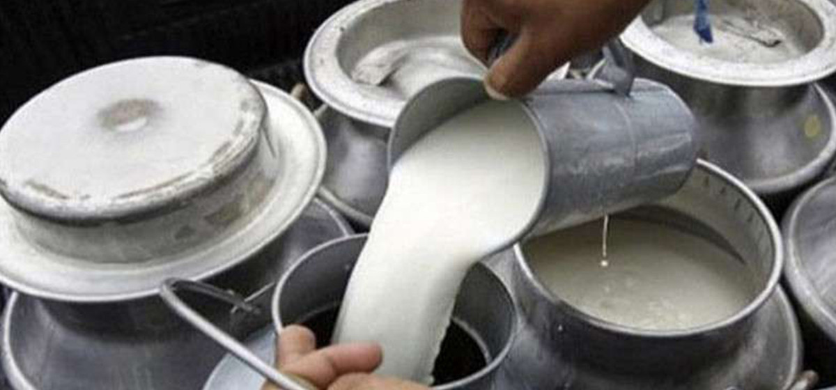 उद्यमी महिला सहकारी संस्थाले डेरी पसल विस्तार