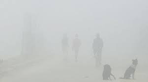 आज तराईका धेरै स्थानमा हुस्सु र कुहिरो 