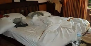ड्रङ्किङ्ग ईन गेष्ट हाउसको कोठामा एक युवती मृत्त फेला 