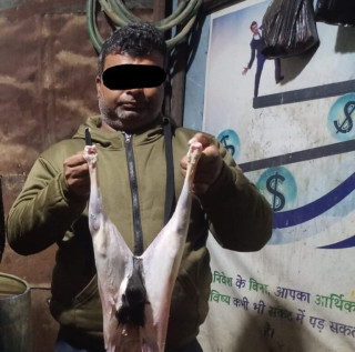 खसीको मासु भन्दै बाख्राको मासु बेचेको आरोपमा पर्सामा एक जना पक्राउ 