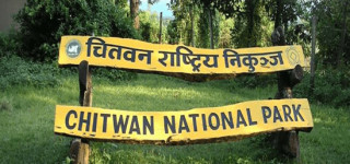 चितवन राष्ट्रिय निकुञ्जमा जीप सफारी बन्द