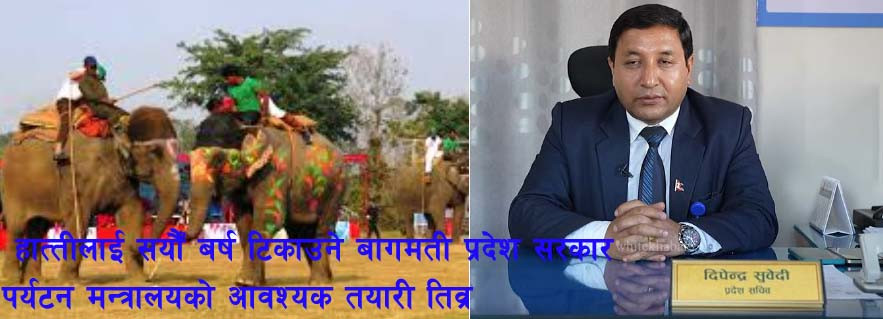 पुष ११ देखि सौराहामा हात्ती महोत्सव, बागमती पर्यटन मन्त्रालयको व्यापक तयारी