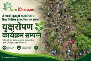 उत्तरी  गोरखाको  फिलिम सामुदायिक वनमा वृक्षरोपण, स्थानीयको सक्रिय सहभागिता