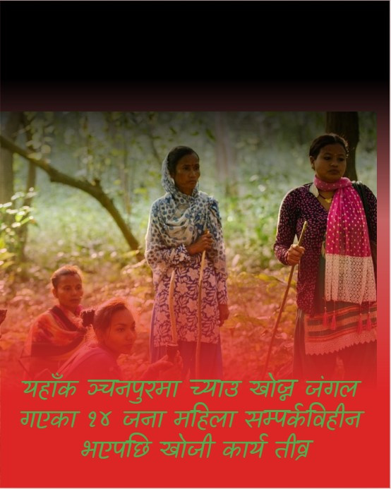 कञ्चनपुरमा च्याउ खोज्न जंगल गएका १४ महिला सम्पर्कविहीन, खोजी कार्य तीव्र